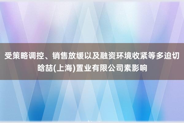 受策略调控、销售放缓以及融资环境收紧等多迫切晗喆(上海)置业有限公司素影响